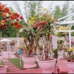 MiMar Le Alcaz Garden