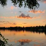 Surronding Parks