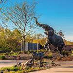 Saint Louis Zoo