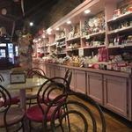 Lazy Dog Chocolateria