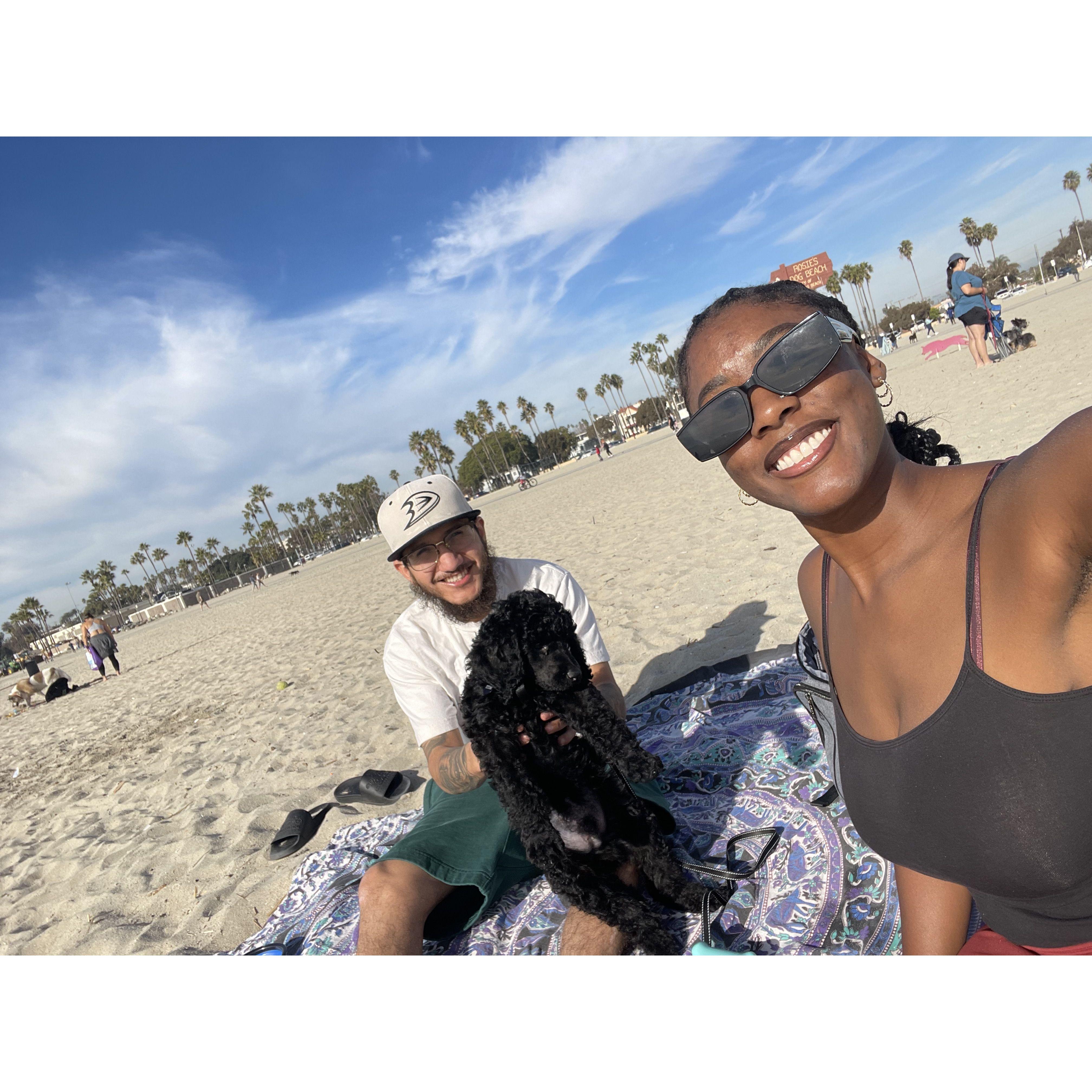 Kosmo first beach trip 2023!