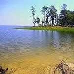 Sam Rayburn Reservoir