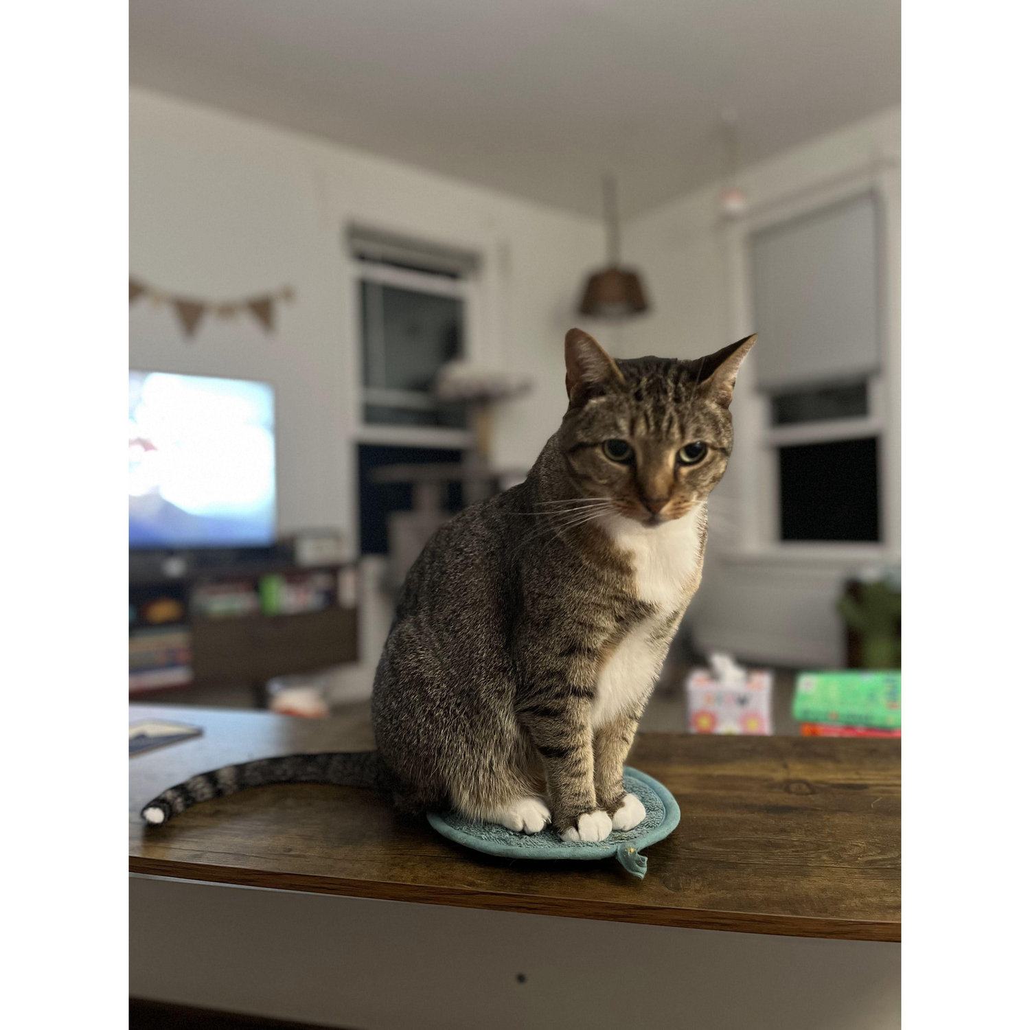 Harrison (the elder) being a handsome man