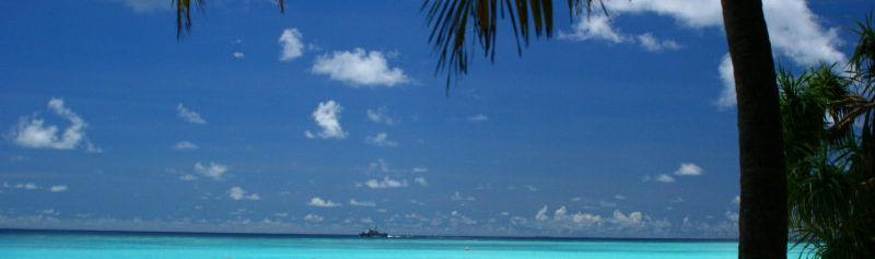 fa178ce2-7523-4849-a733-60d1af4936f1