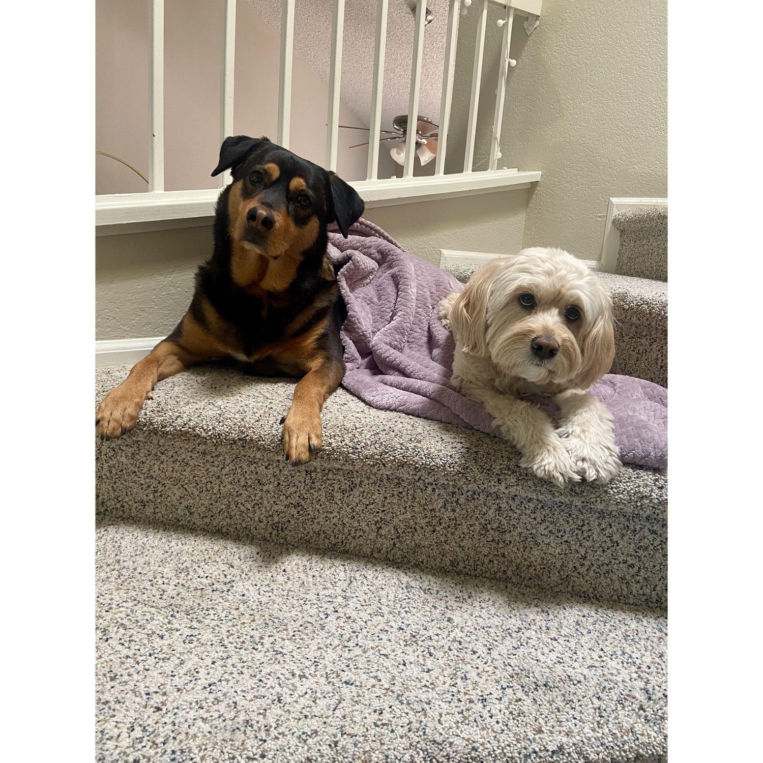 Did I hear you say walk?!
