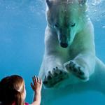 Point Defiance Zoo & Aquarium