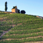 Tain-l'Hermitage