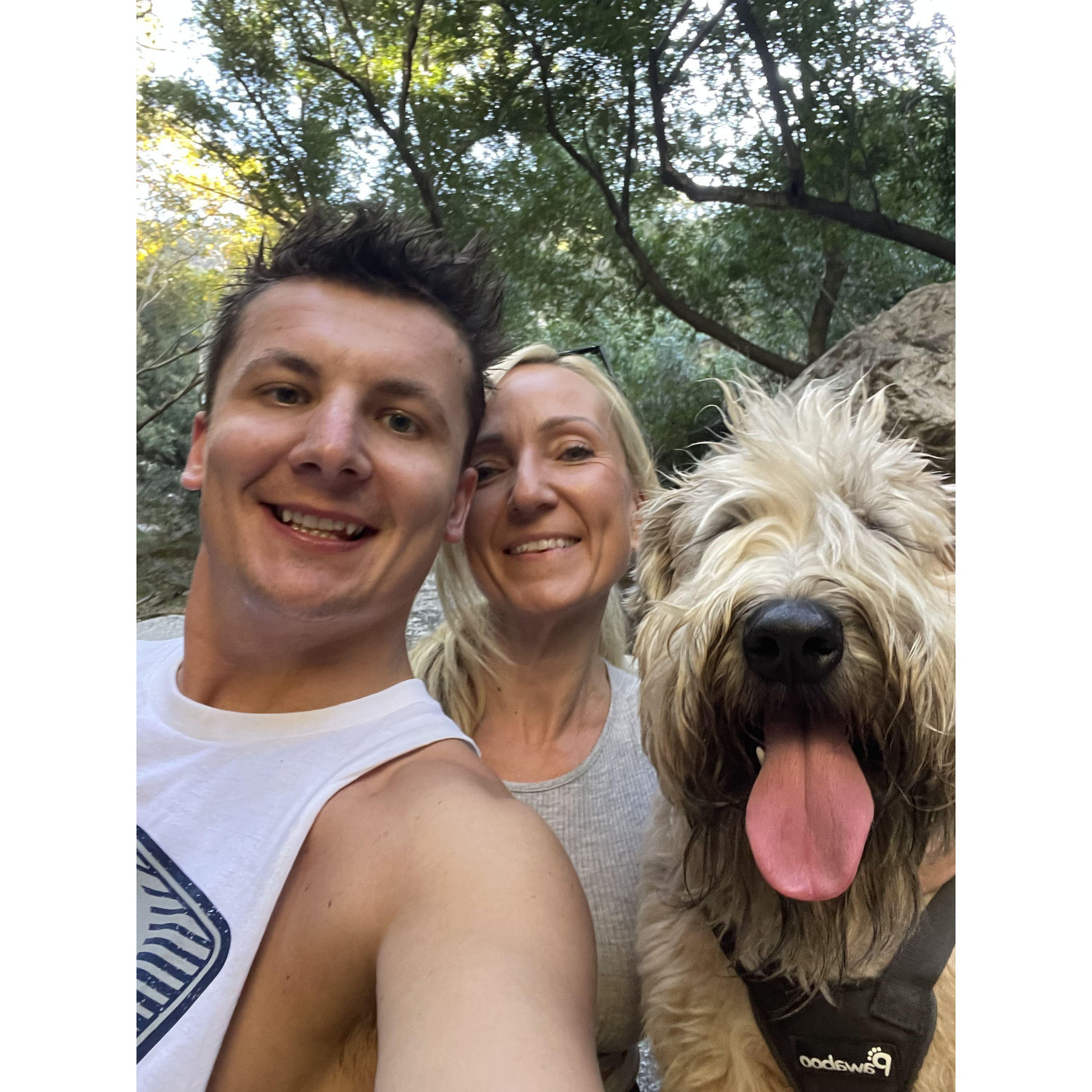 We love dogs and to get out into the wild!