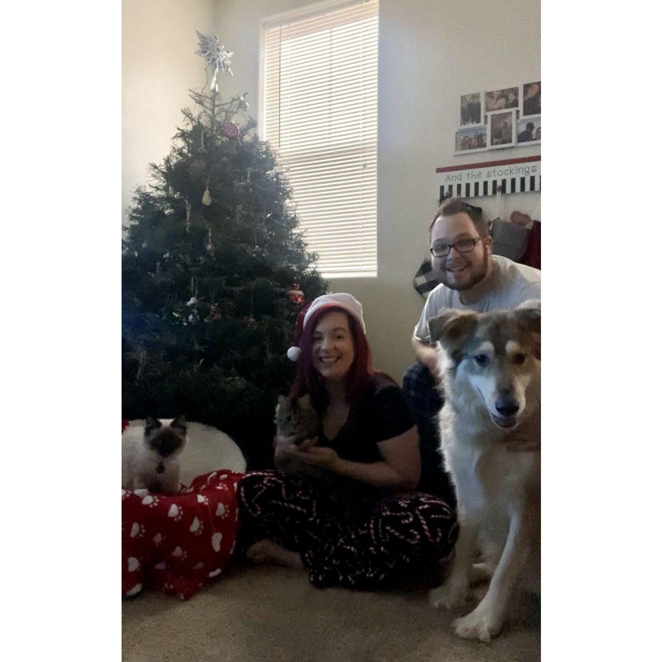 Family Christmas photo of 2021. We got two cats.