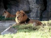 Reid Park Zoo