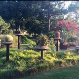 The Botanic Garden at Oklahoma State University