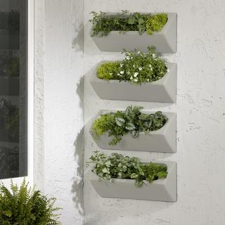 Dalya Outdoor Wall Planter, Set of 4