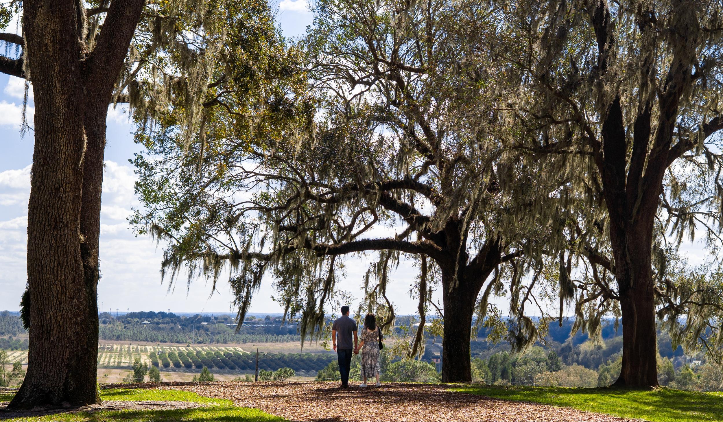 The Wedding Website of Gena Gillispie and Eli Liang