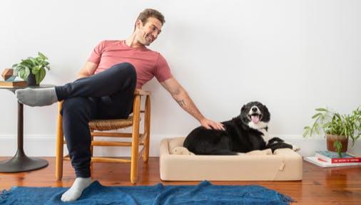 Foam Dog Bed and Crate Pad | Tuft & Needle