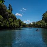 El Bosque de las Truchas