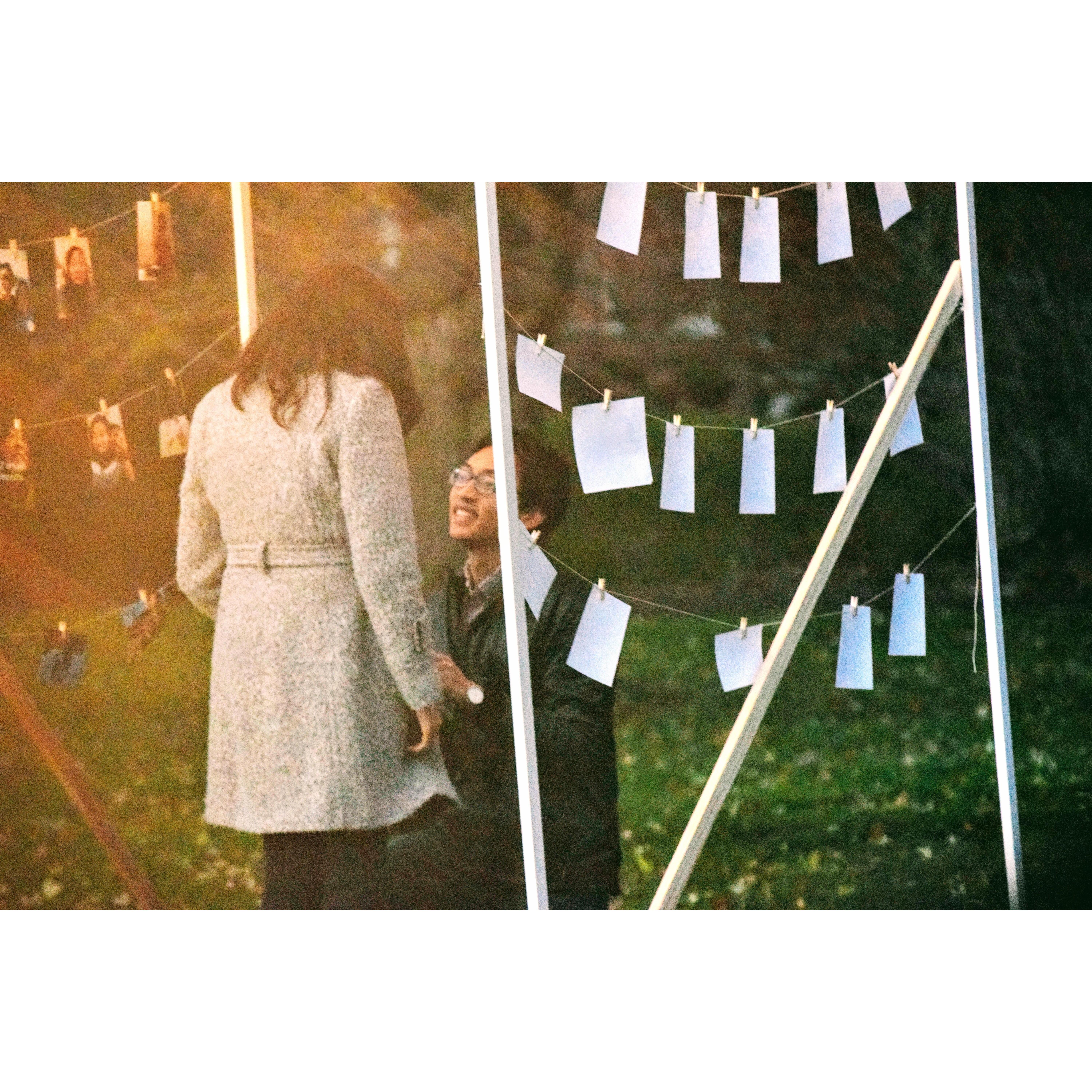 The Proposal November 2017
