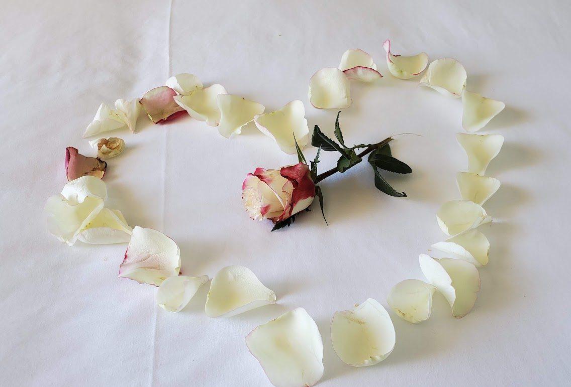 The Wedding Website of Tina Burke and Chad Bohannan