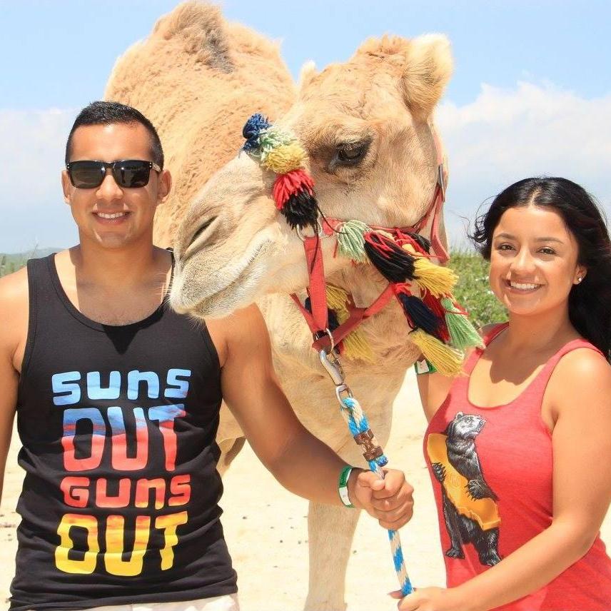 Camels in Mexico