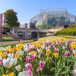Phipps Conservatory and Botanical Gardens