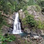El Yunque National Forest