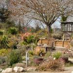 UC Santa Cruz Arboretum & Botanic Garden