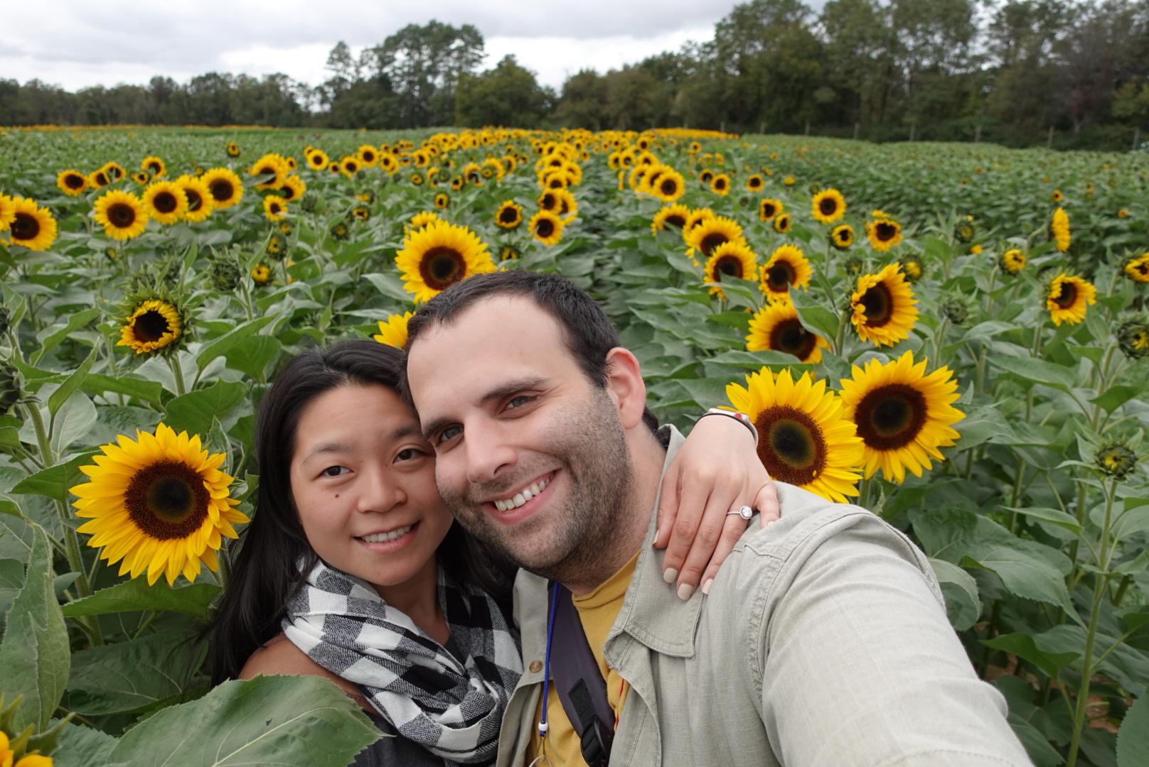 Sunflower Farm