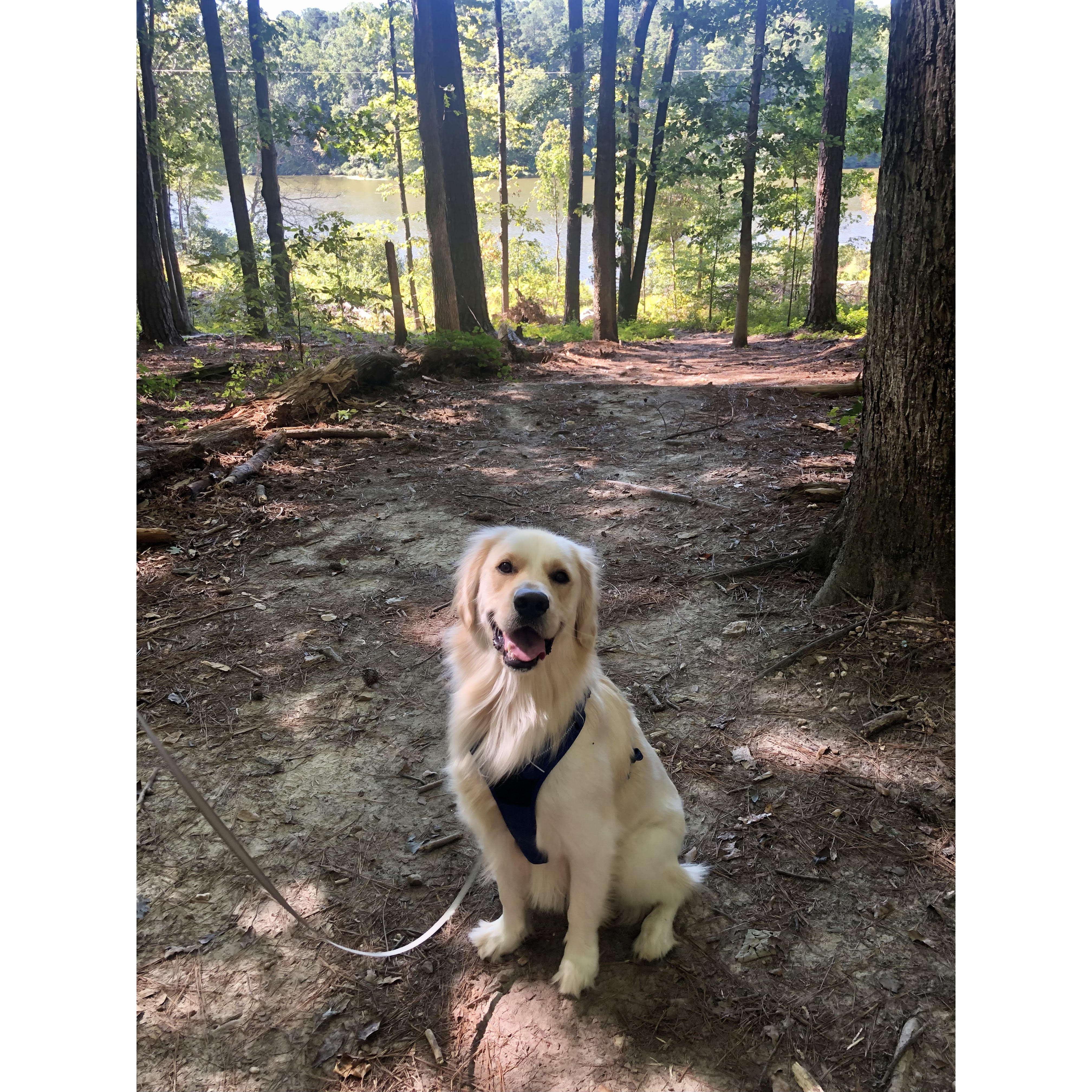 The Ring Bearer!