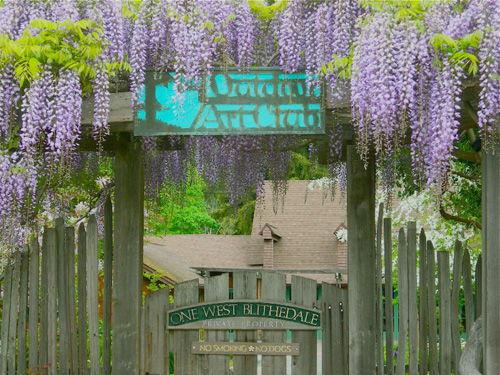 The Wedding Website of Dani Lurie and Jared Schneider