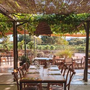 Menorca Winery