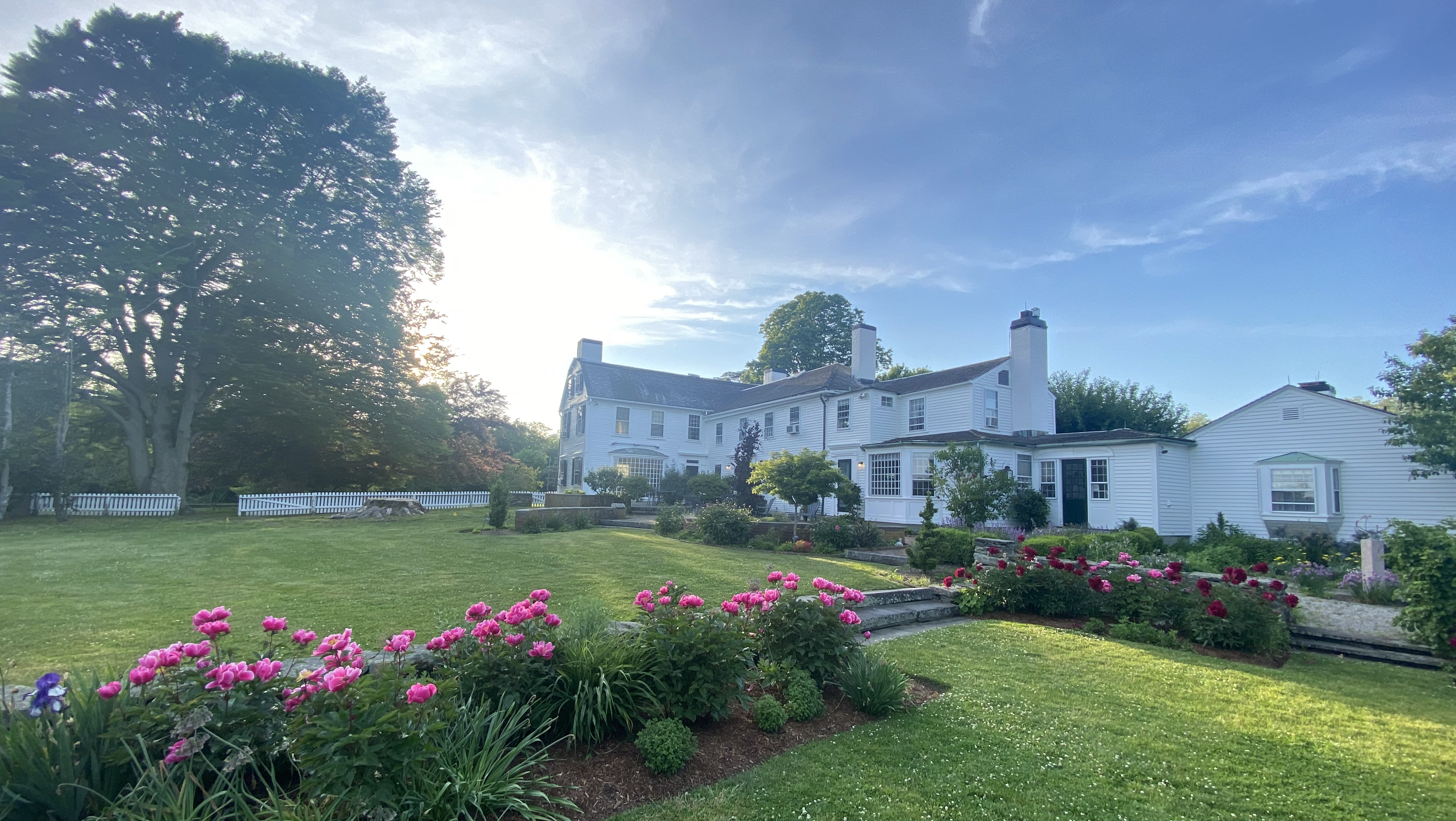 The Wedding Website of Alia Marinone and Davis Englund
