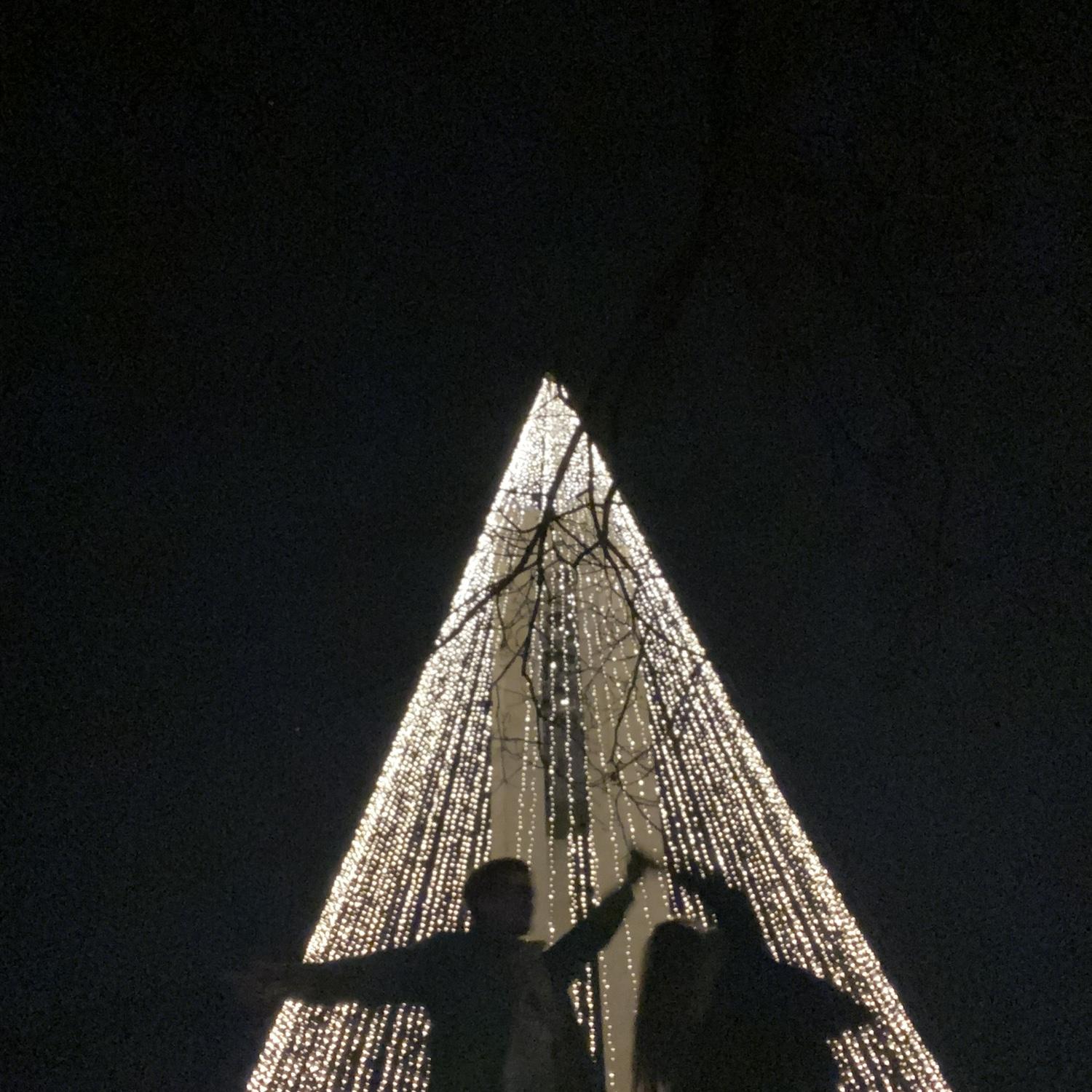 December 2021, looking a Christmas lights in Dayton (Carillon Park), where Jacob lived at the time!  (Bailey was in Charlotte in college!)