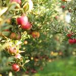 Autumn activities round up