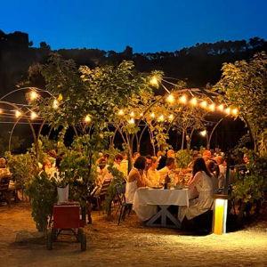 Dinner at Jardin Secret