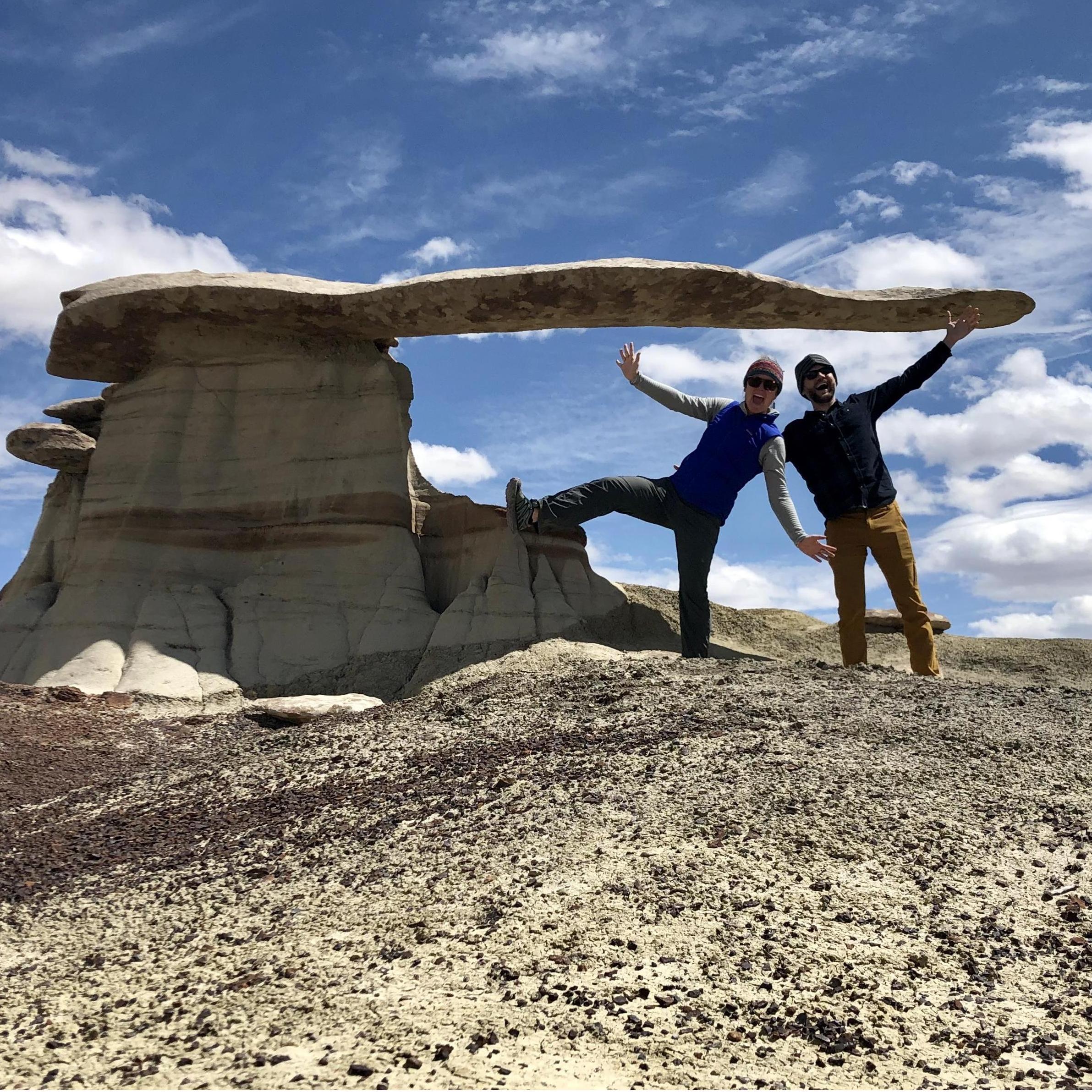 "King of Wings" in Bisti Badlands.