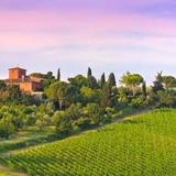 Il Chianti