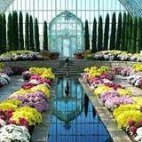 Como Park Zoo & Conservatory