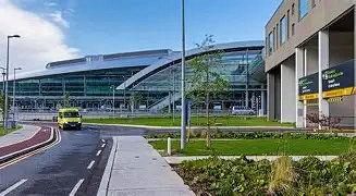 The Wedding Website of Brandon Pavon and Darcy Doyle