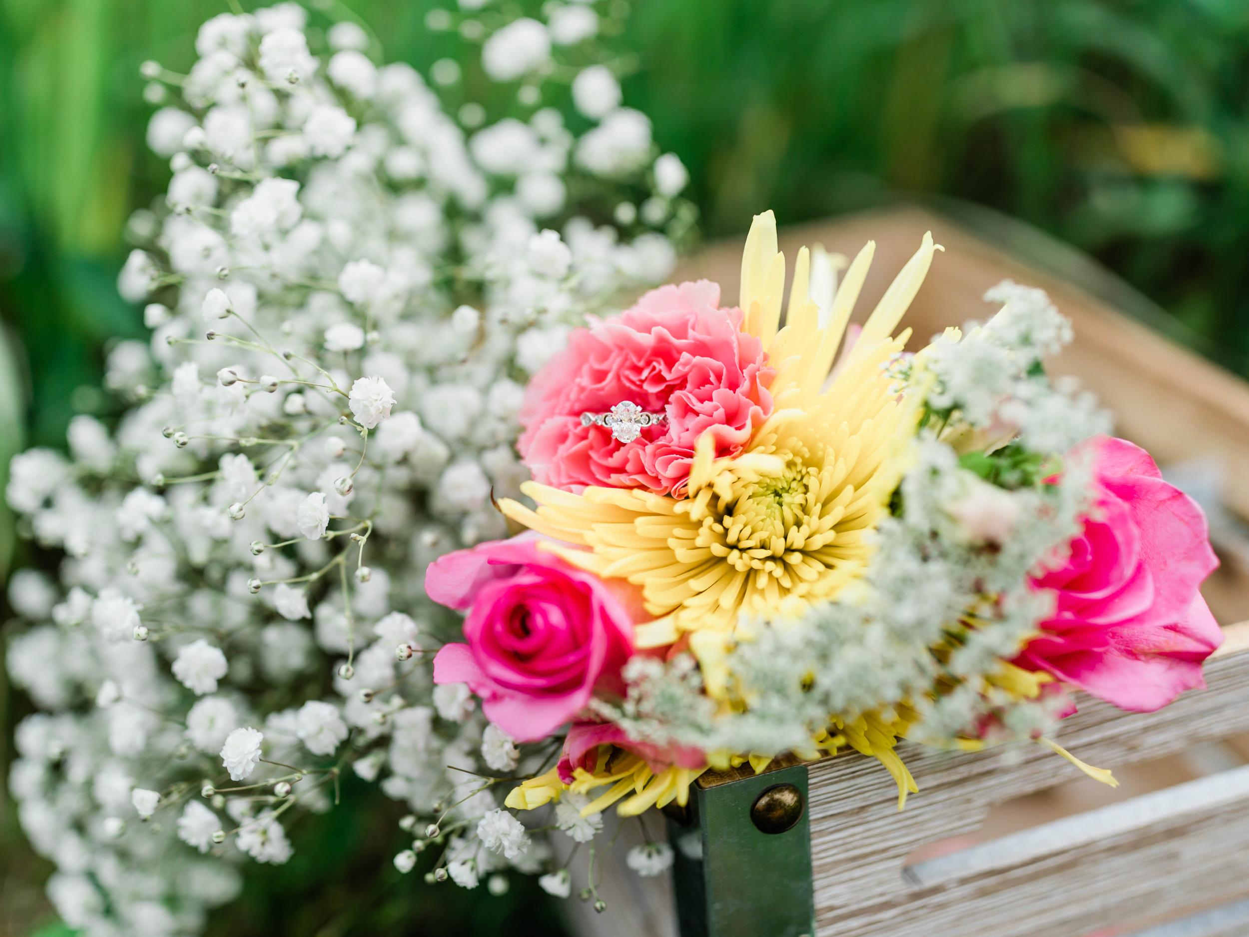 The Wedding Website of Alli Kochanowicz and Adam Podraza