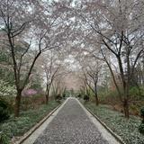 Sarah P. Duke Gardens