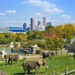 Denver Zoo