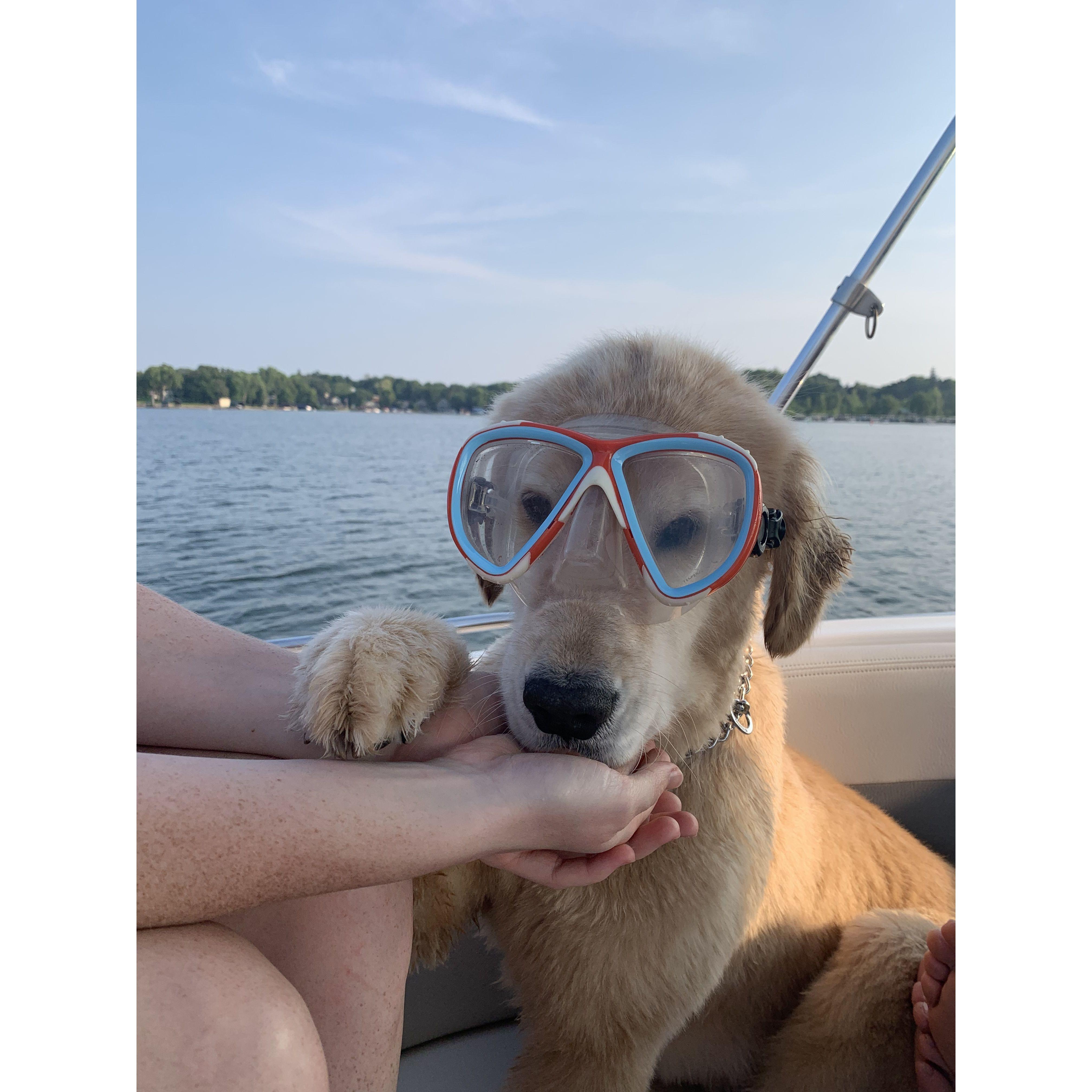 Sully in MN. Summer 2019.