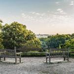 Nichols Arboretum (The Arb)