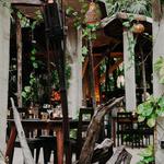 WILD Tulum