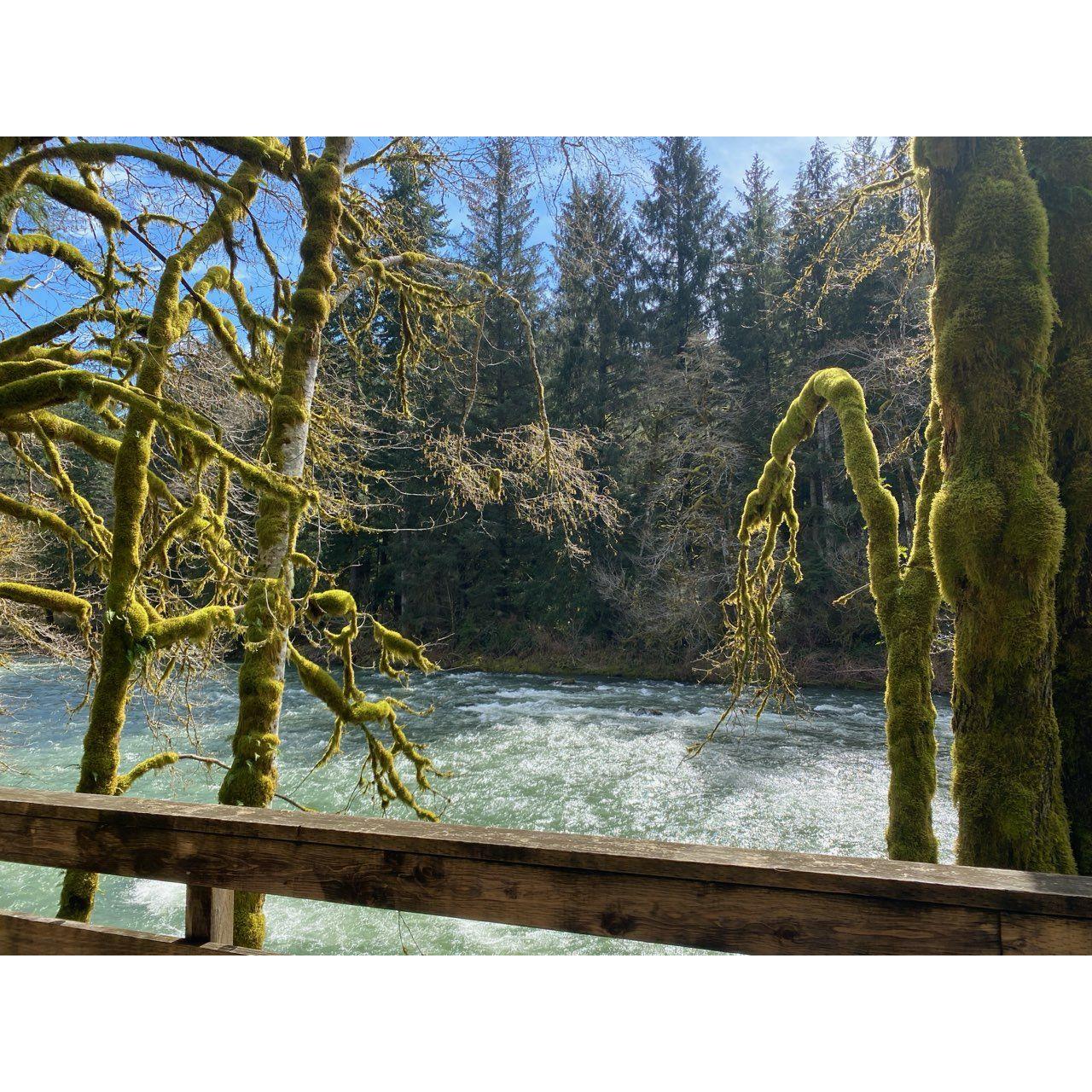 View from our Airbnb