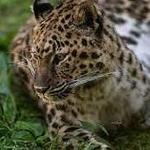 Ross Park Zoo