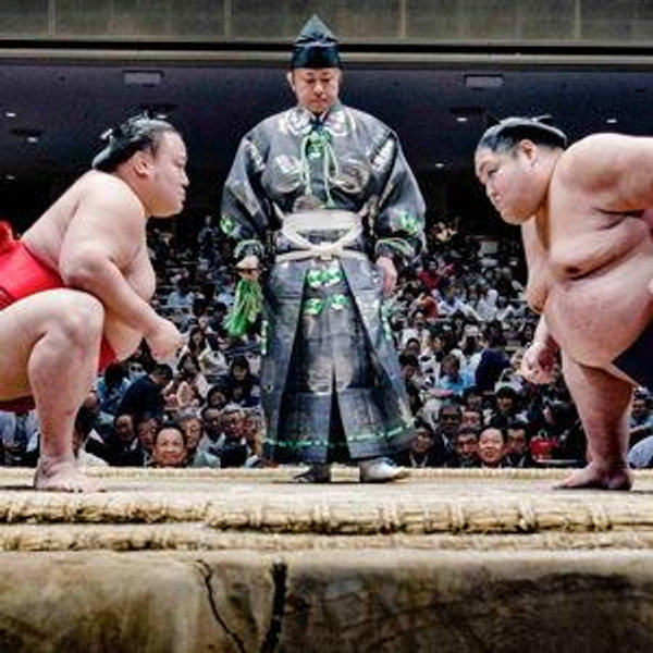 Nayoga Sumo Wrestling Tournament Tickets