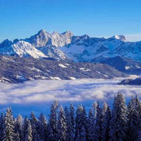 Dinner for Two in Austria