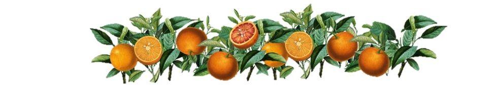 The Wedding Website of Alice Palmer and Aidan O'Kelly