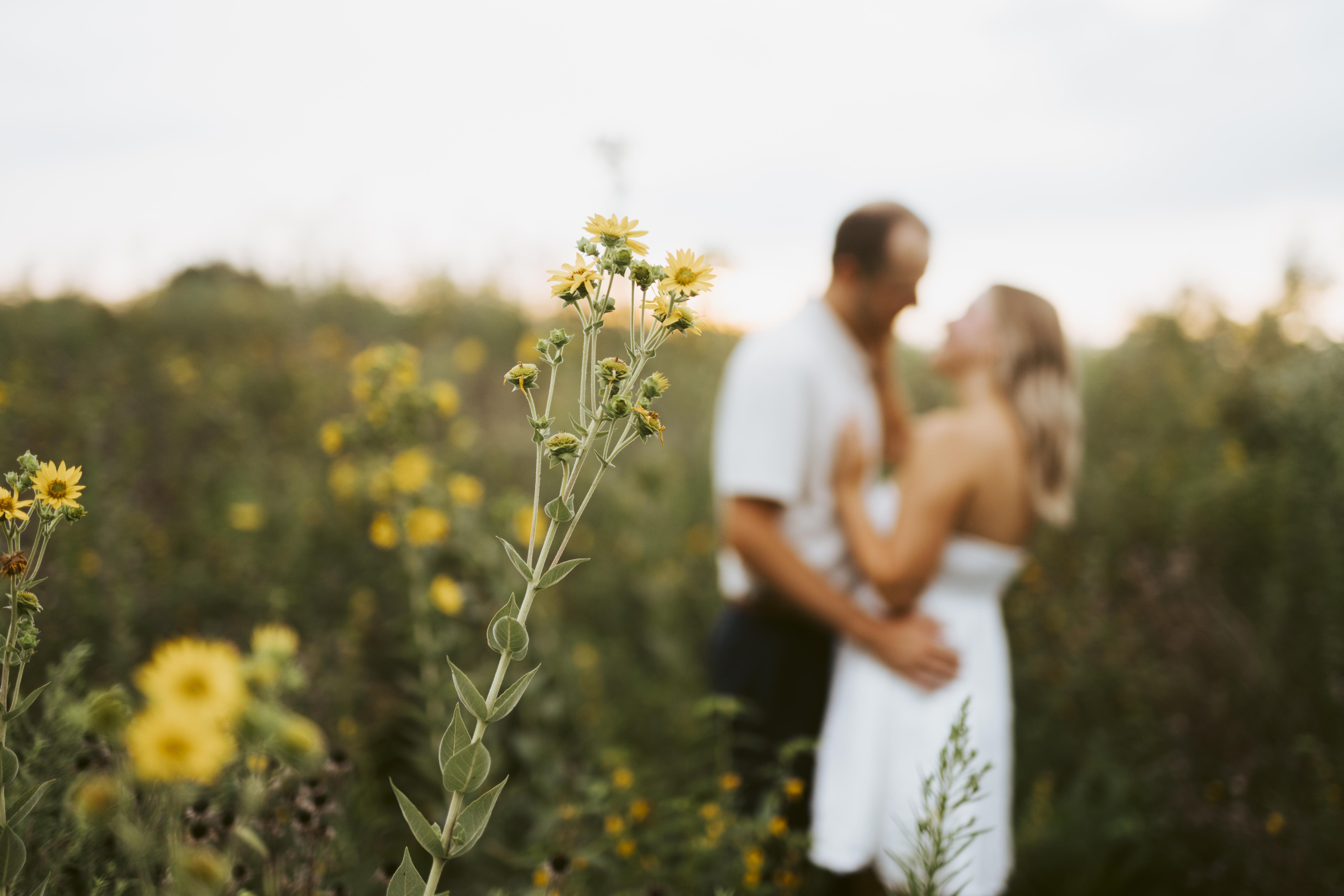 The Wedding Website of Abby Barnes and Collin Cox