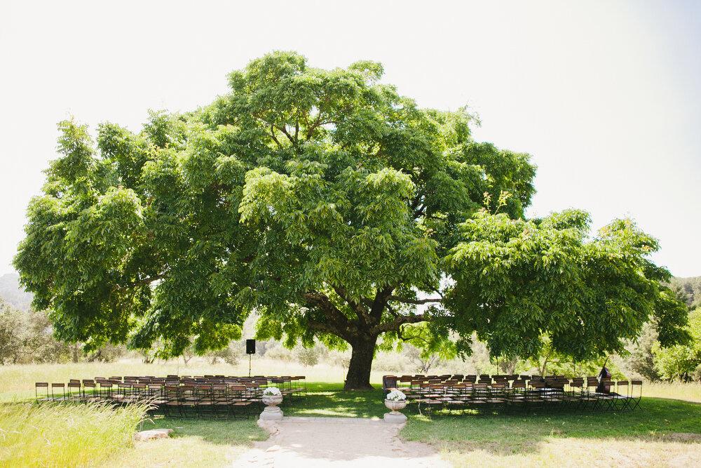 The Wedding Website of Tarryn Hilton and Tanner Briggs